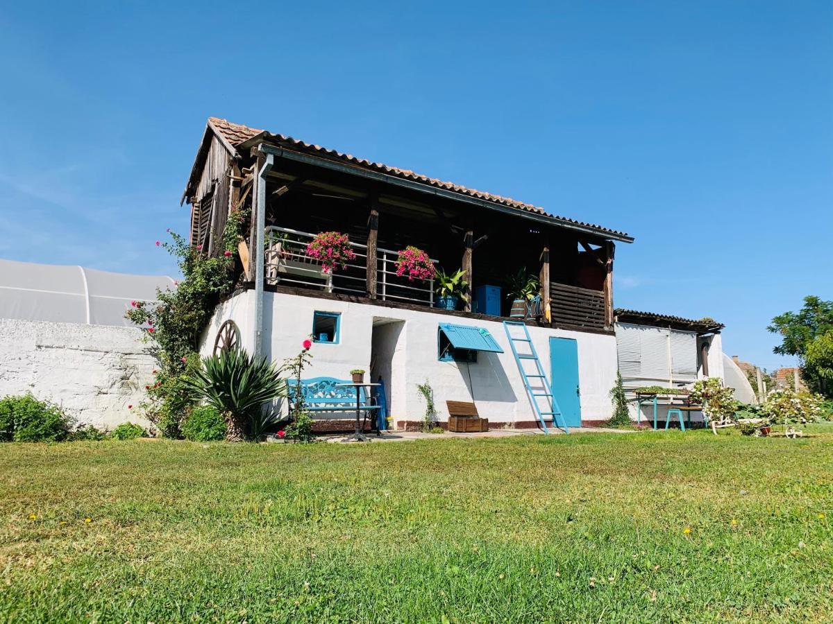 Apartamento Lux House Olga Ruma Exterior foto